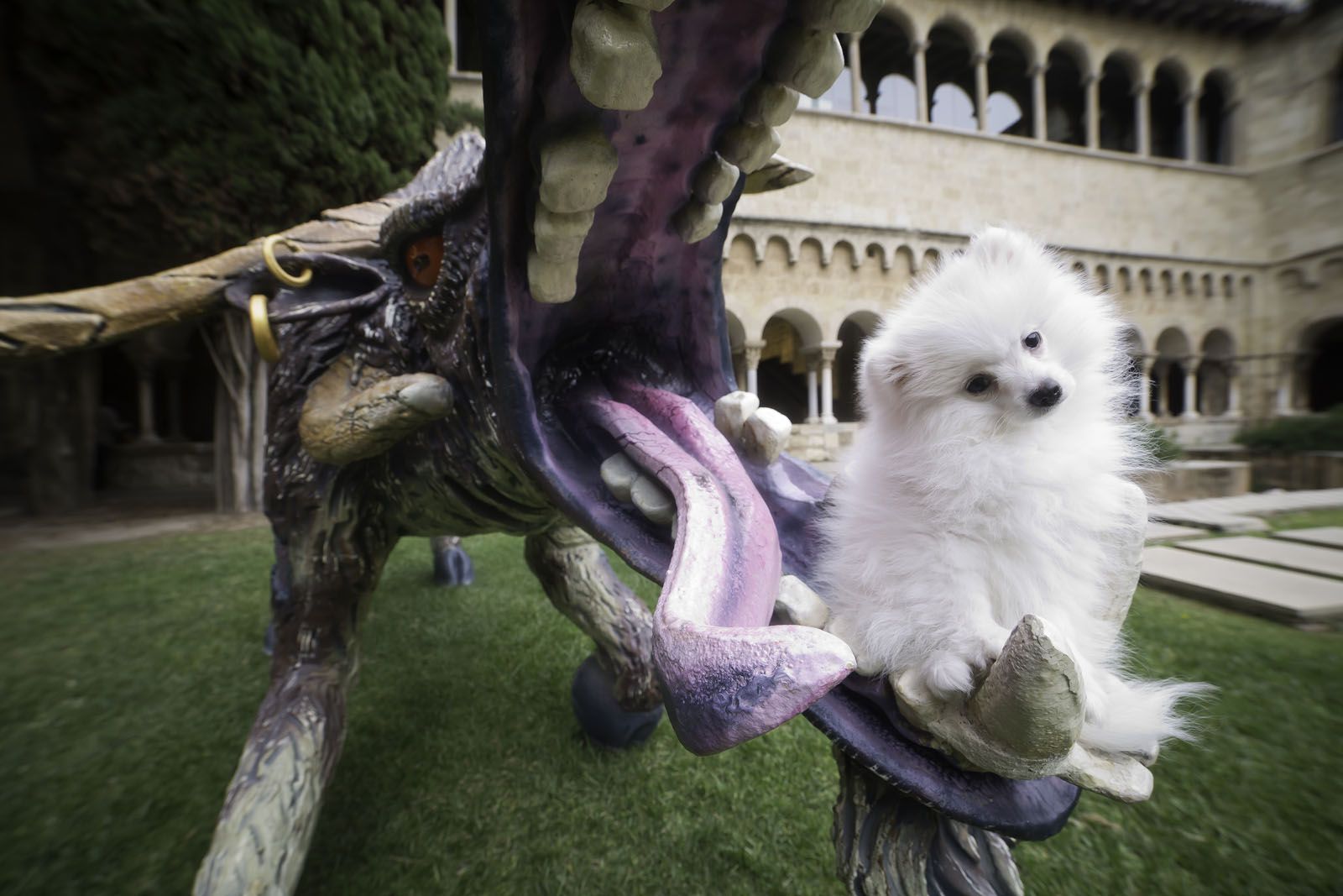 Algú té un escuradents? FOTO: Artur Ribera