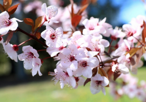Sol i calor durant el cap de setmana FOTO: Lali Àlvarez
