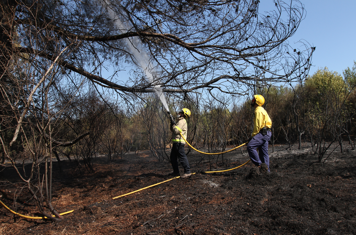 El risc d'incendi ha augmentat a Sant Cugat. FOTO: Haidy Blanch