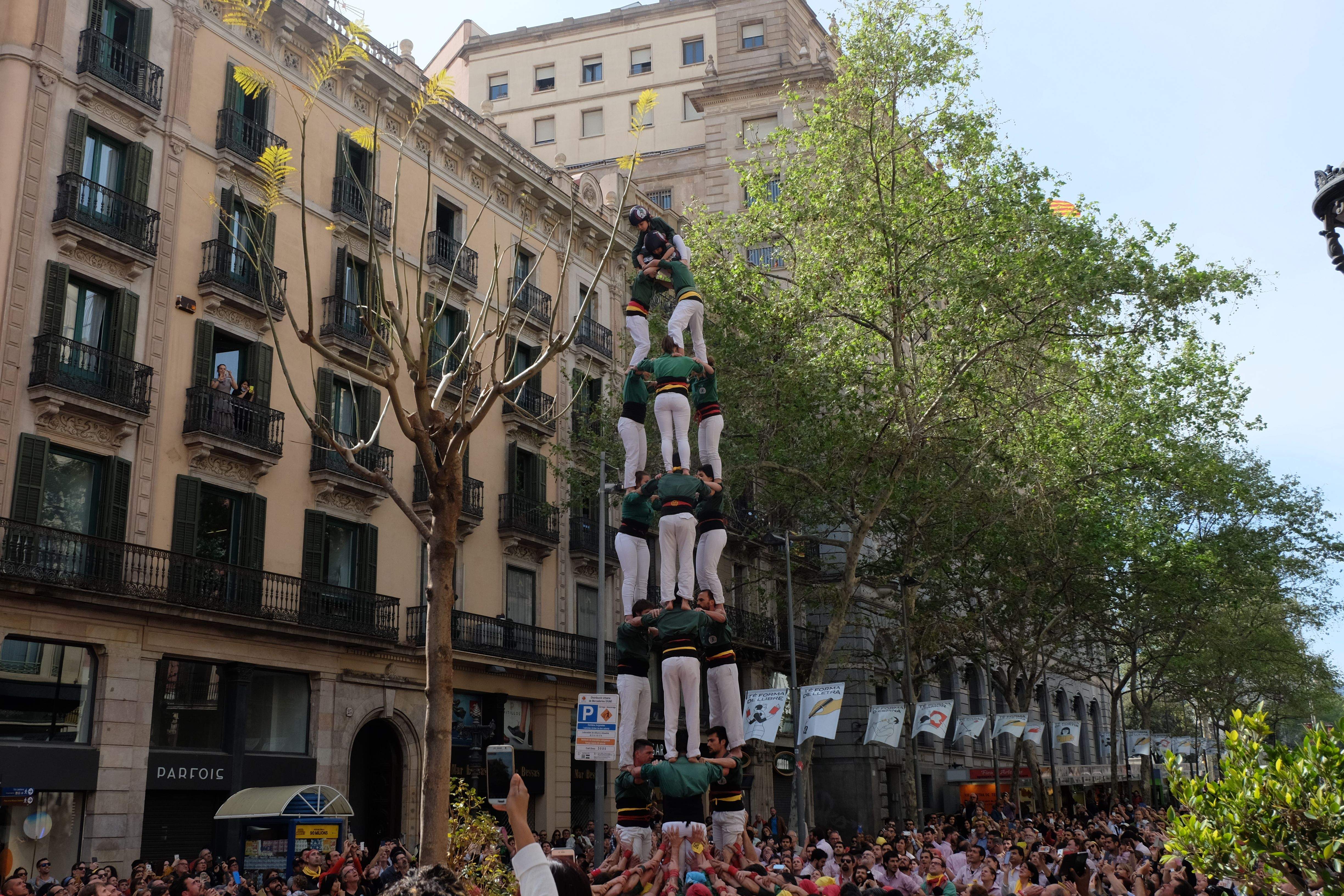 3d8 Can Jorba 2018 FOTO: @gausacs