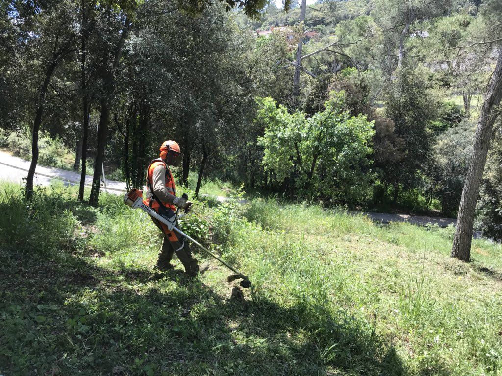Operaris de l'empresa Arico Forest treballant al barri de la Serreta, a Valldoreix. FOTO: EMD Valldoreix.