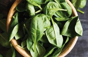 Una recepta ràpida i fàcil FOTO: Cedida