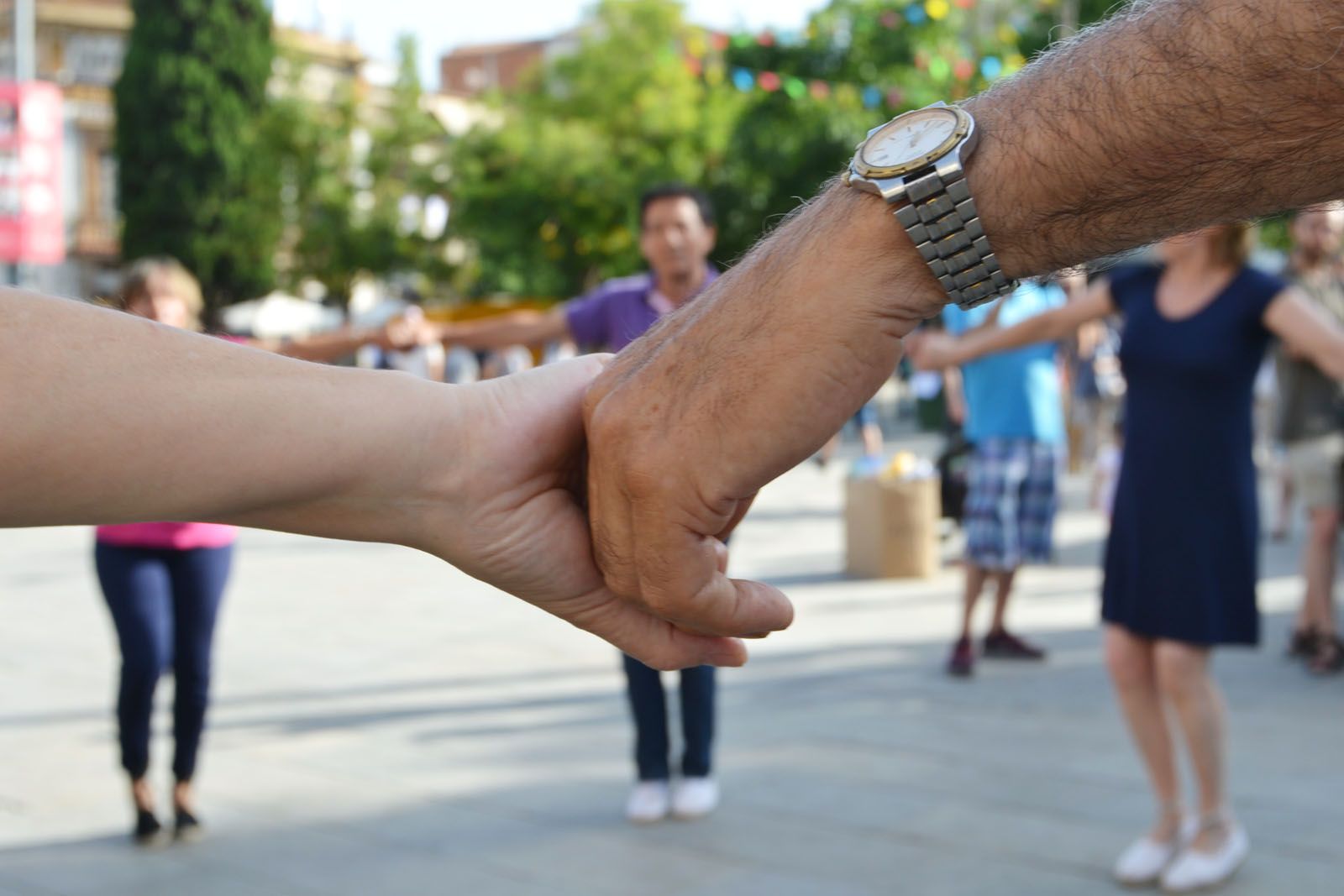 Sardanes. Foto: Silvia Polanco 