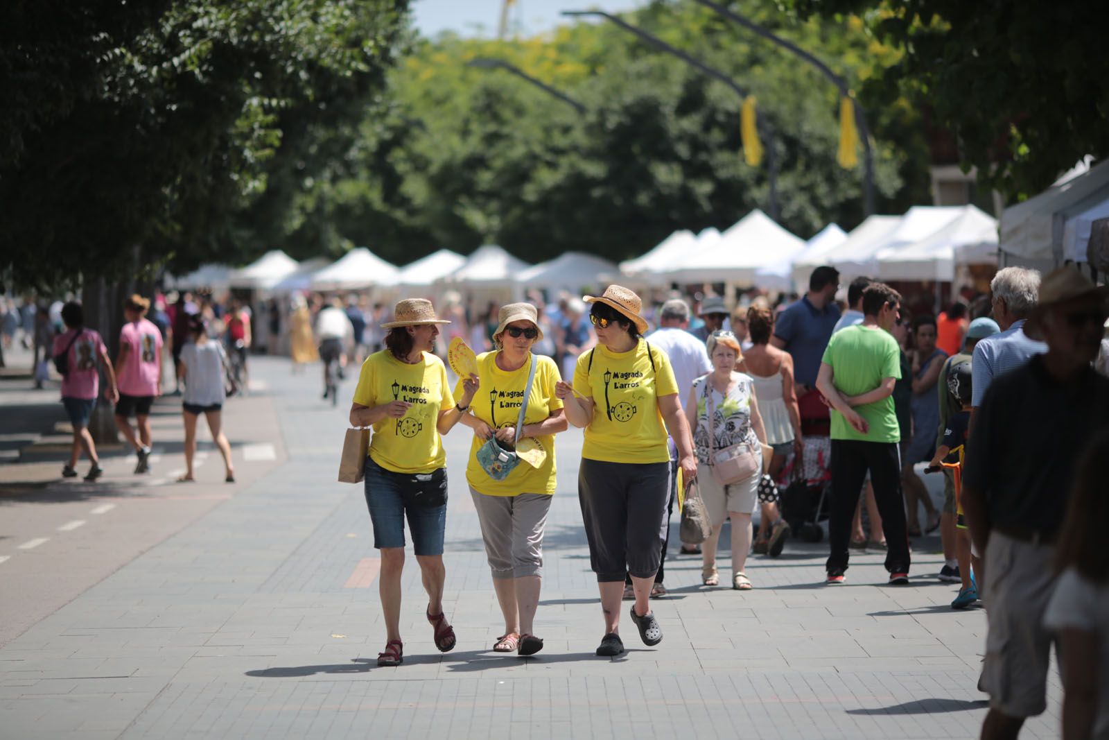 Concurs d'arrossos de Festa Major 2018 FOTO: Artur Ribera