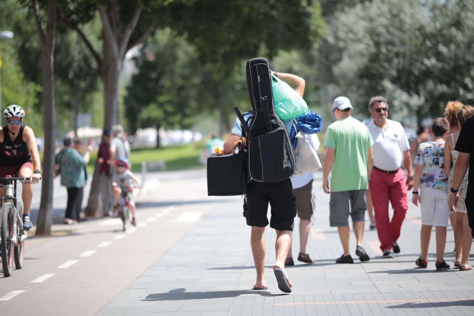 Concurs d'arrossos de Festa Major 2018 FOTO: Artur Ribera