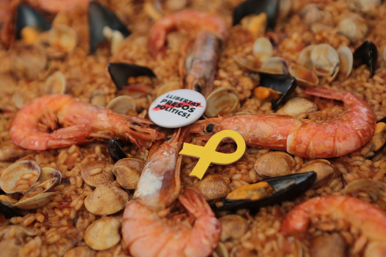 Concurs d'arrossos de Festa Major 2018 FOTO: Artur Ribera