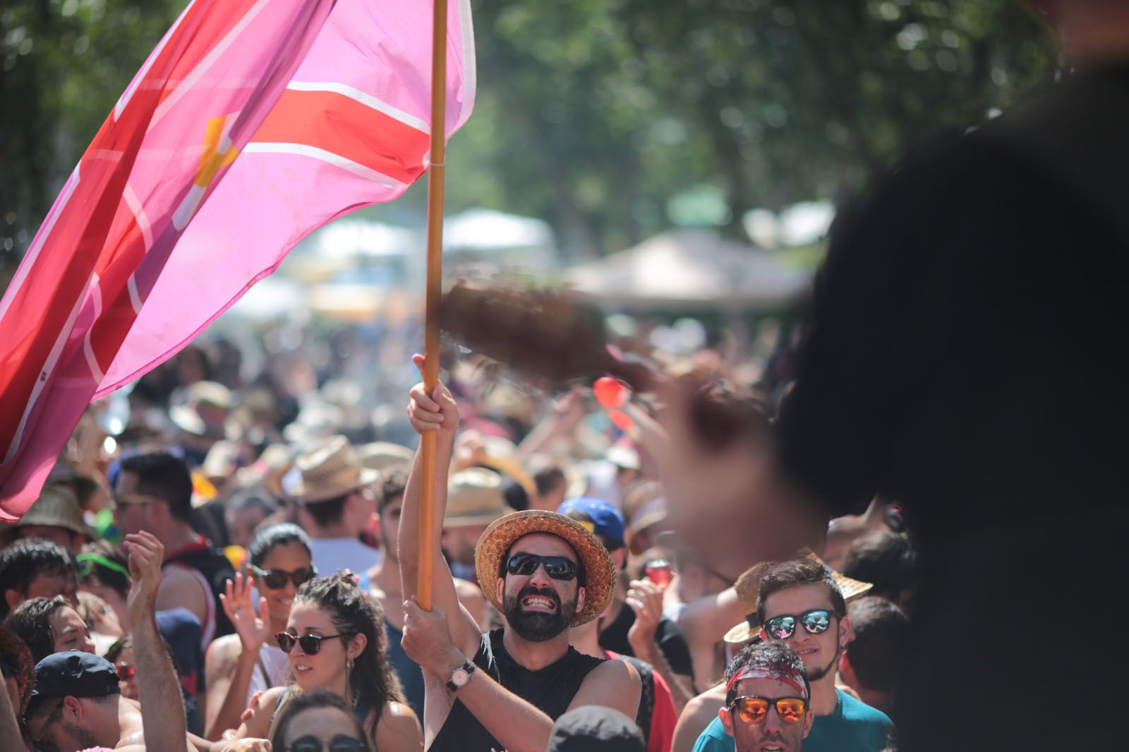 Concurs d'arrossos de Festa Major 2018 FOTO: Artur Ribera