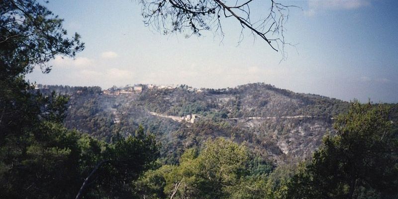 La forta sequera de l'estiu del 1994 va provocar incendis que van cremar fins a 150 hectàrees del parc FOTO: Arxiu