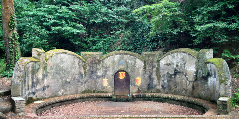 Font Groga Collserola Font Groga Collserola