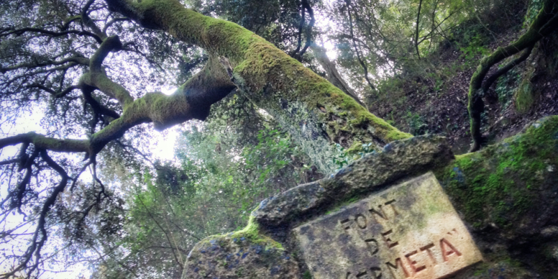Font de Ermeta Collserola