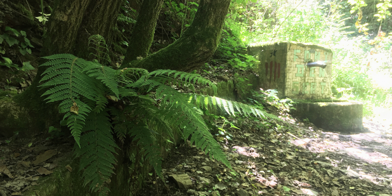 Font Sert Collserola1 Font Sert Collserola1