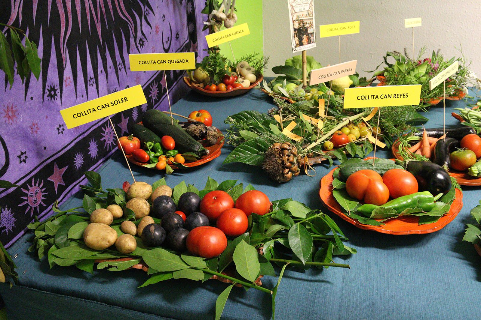 Comença la Festa Major de Sol i Aire. Foto: Lali Álvarez