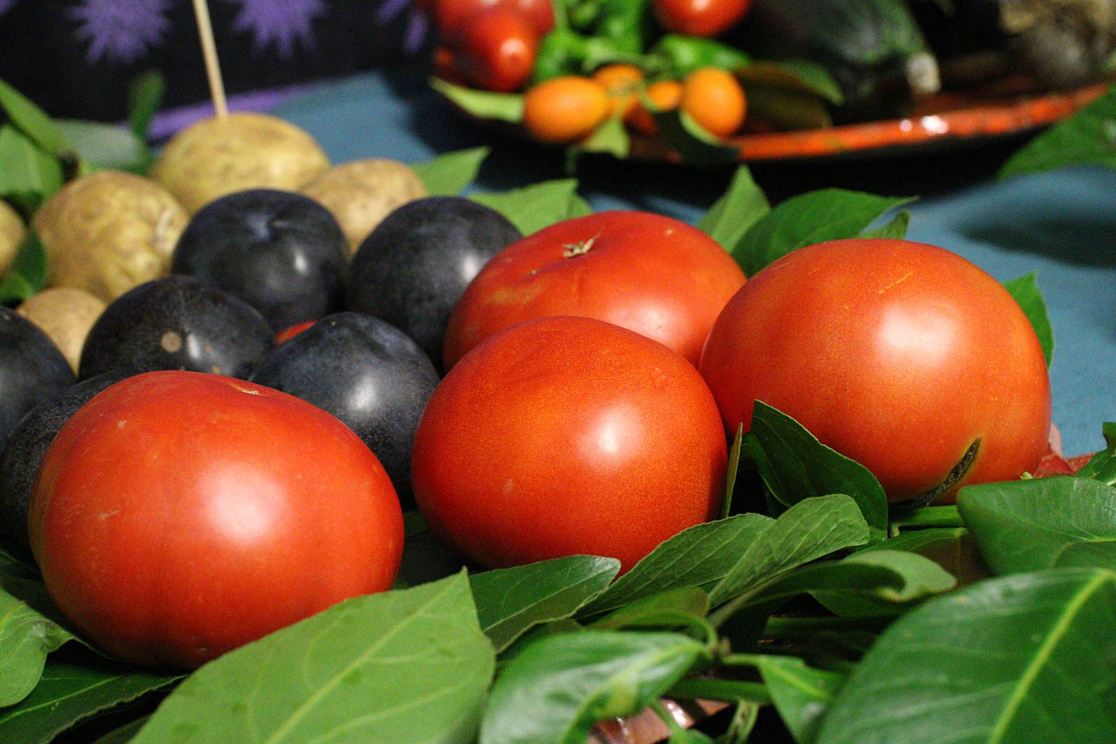 Comença la Festa Major de Sol i Aire. Foto: Lali Álvarez