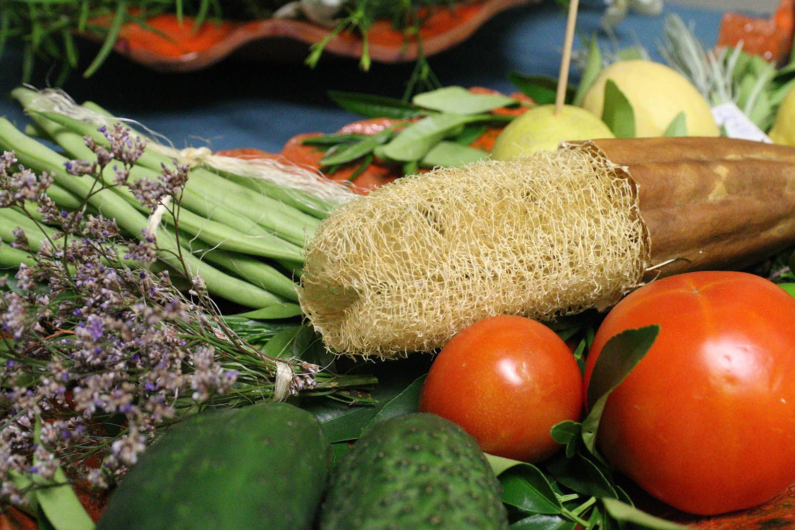 Comença la Festa Major de Sol i Aire. Foto: Lali Álvarez