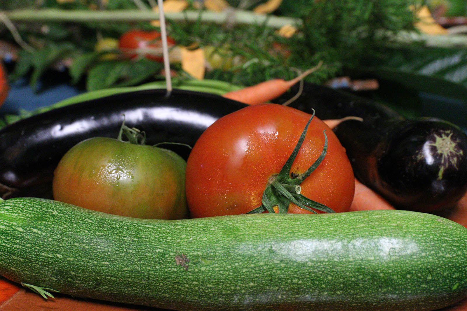 Comença la Festa Major de Sol i Aire. Foto: Lali Álvarez