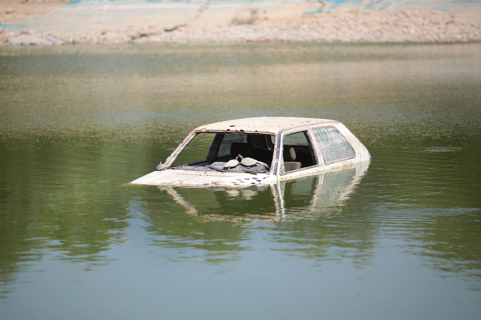En cotxe al mig de l'estany de la Guinardera. FOTO: Artur Ribera