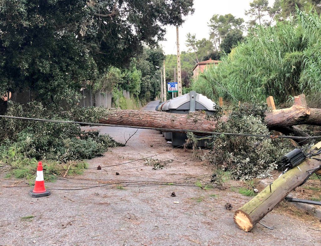 La caiguda d'un arbre provoca problemes elèctrics a La Floresta. FOTO: Ajuntament de Sant Cugat