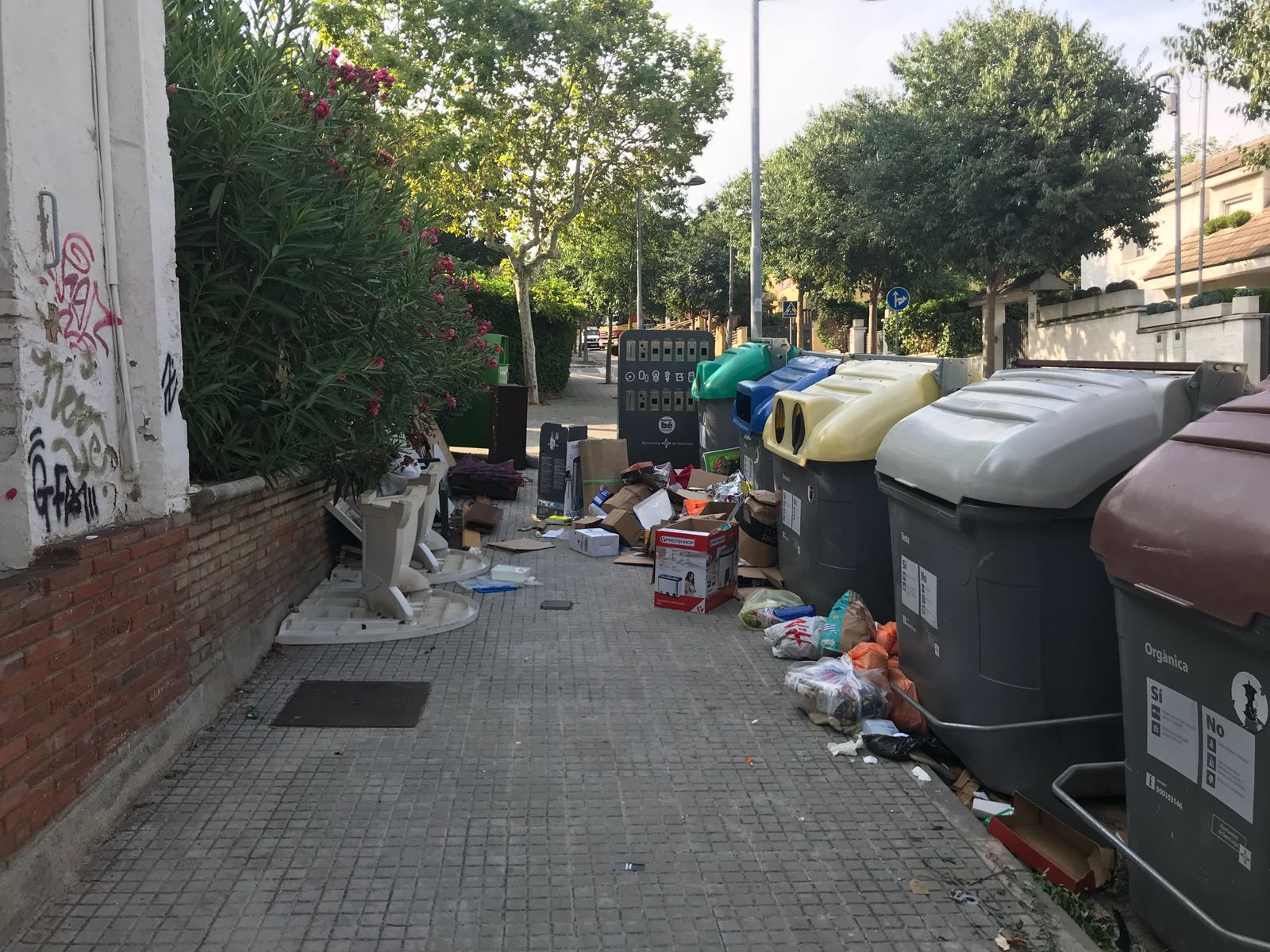 Contenidors a vessar a Mira-sol FOTO: Sara Sánchez