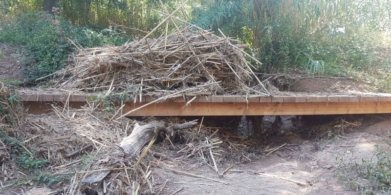 Estat de la riera després de les pluges. FOTO: Manel Cervantes