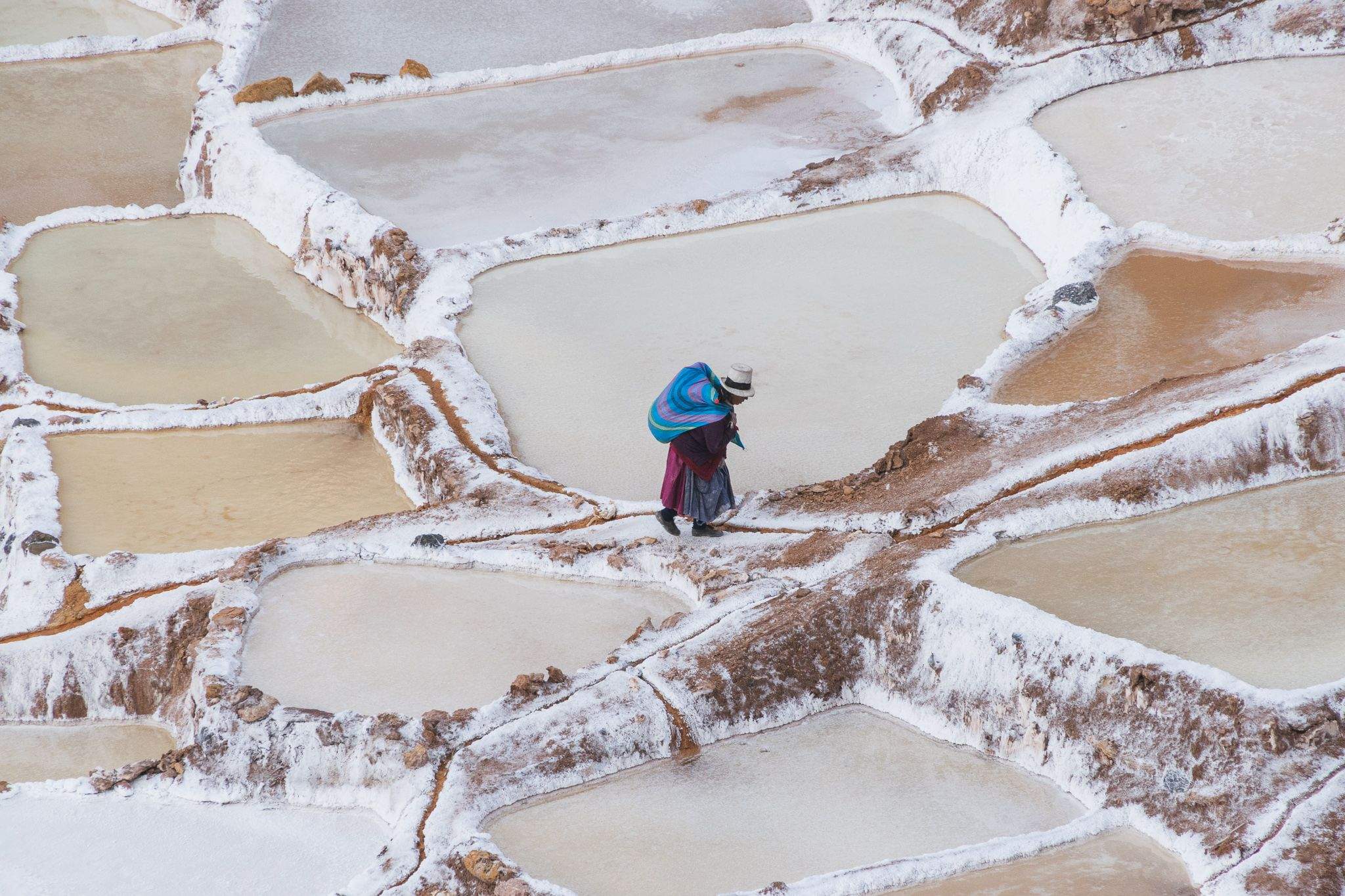 Carlos Mayora Curzio "Una biblioteca pels somnis" (Categoria Viatges)