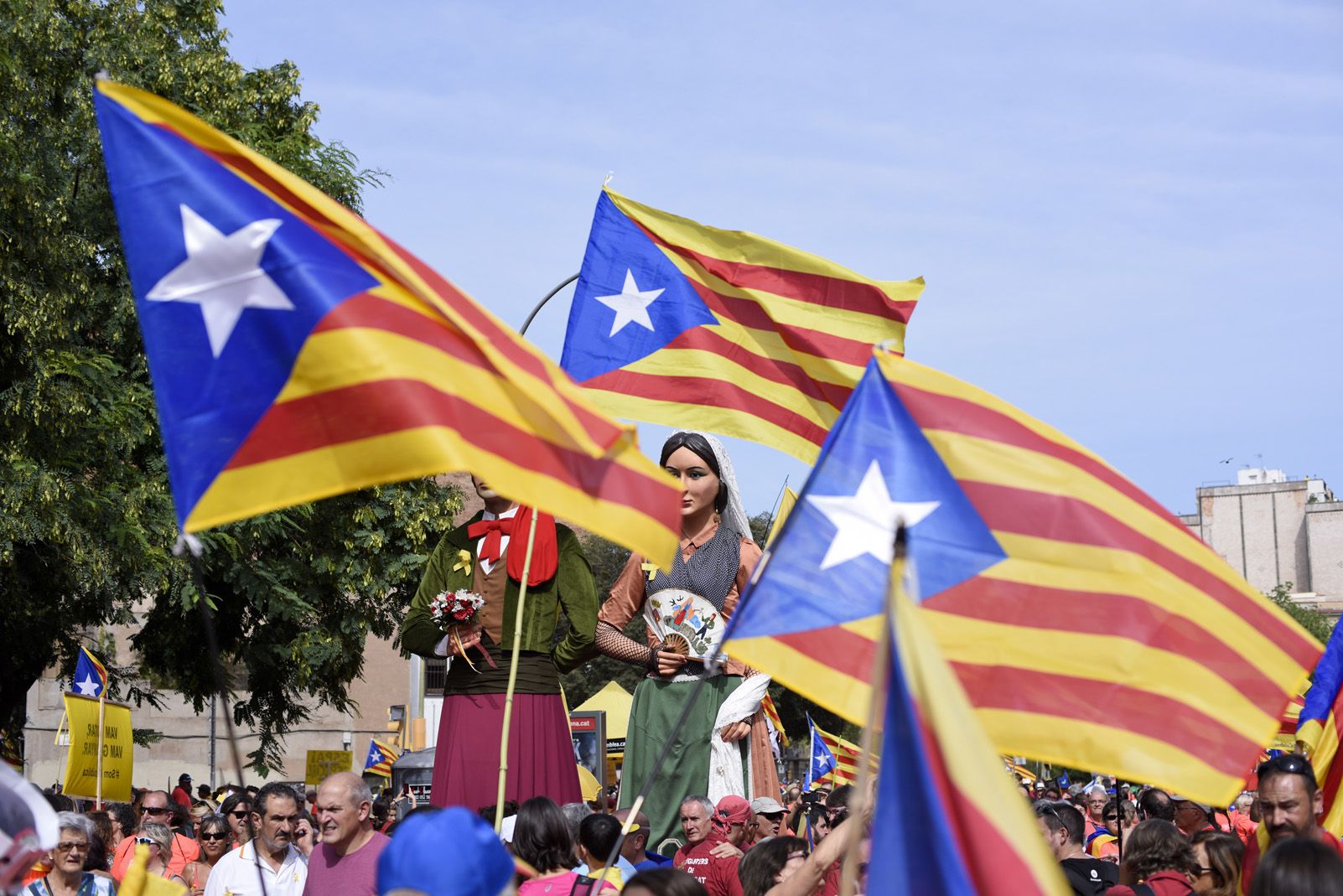 Manifestació de la diada Nacional de Catalunya a Barcelona. Foto: Bernat Millet.