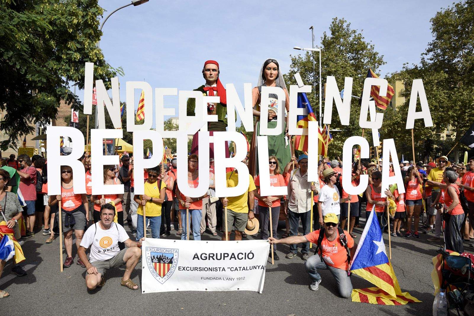 Manifestació de la diada Nacional de Catalunya a Barcelona. Foto: Bernat Millet.