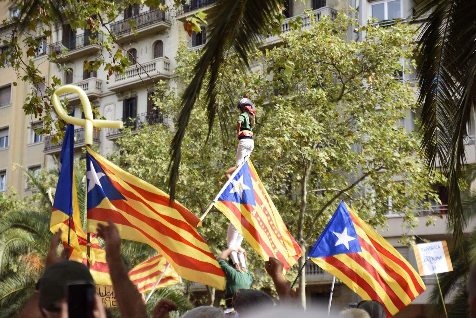 Manifestació de la diada Nacional de Catalunya a Barcelona. Foto: Bernat Millet.