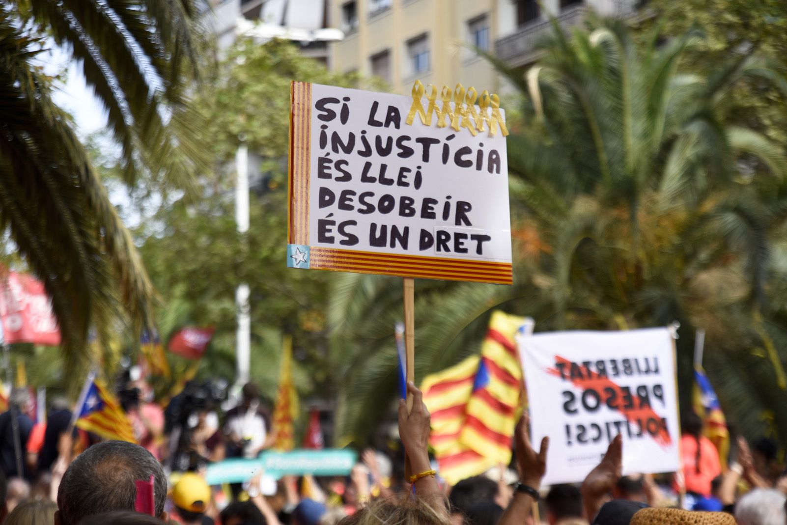 Manifestació de la diada Nacional de Catalunya a Barcelona. Foto: Bernat Millet.
