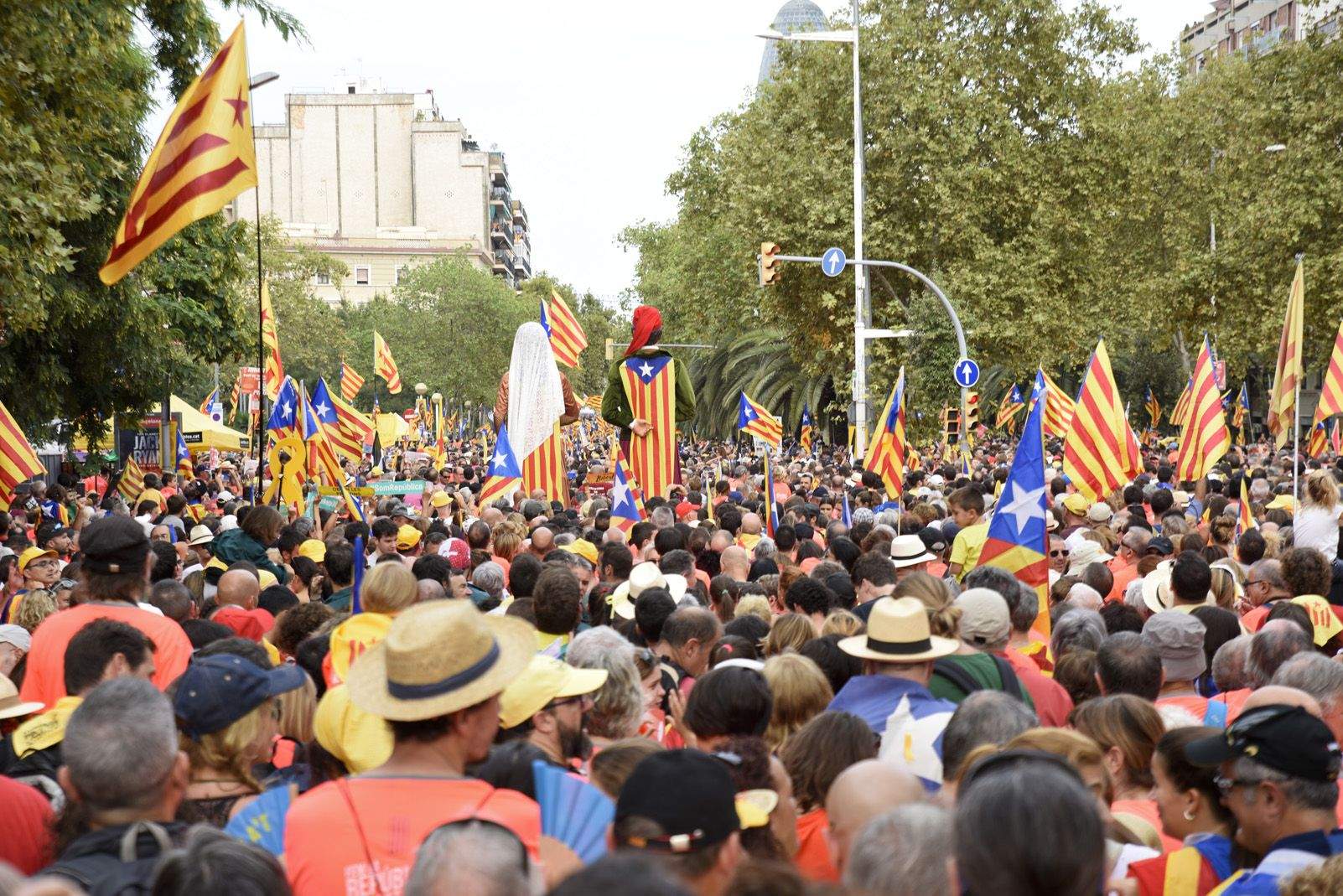 Manifestació de la diada Nacional de Catalunya a Barcelona. Foto: Bernat Millet.