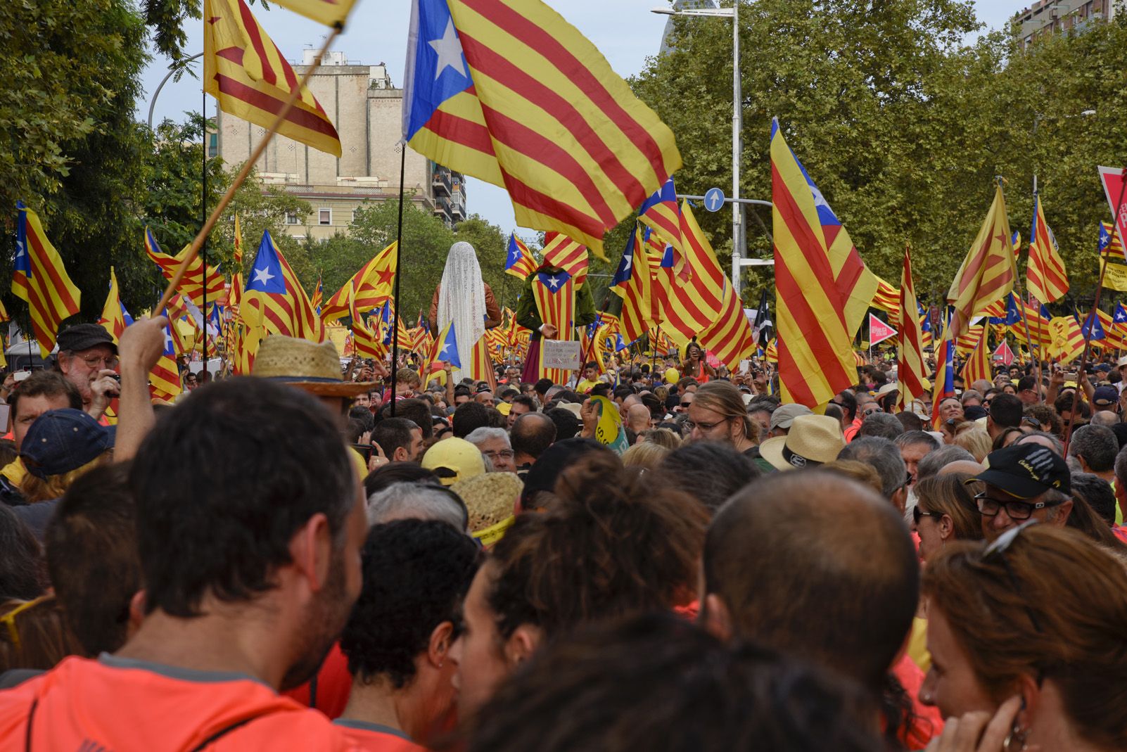 Manifestació de la diada Nacional de Catalunya a Barcelona. Foto: Bernat Millet.