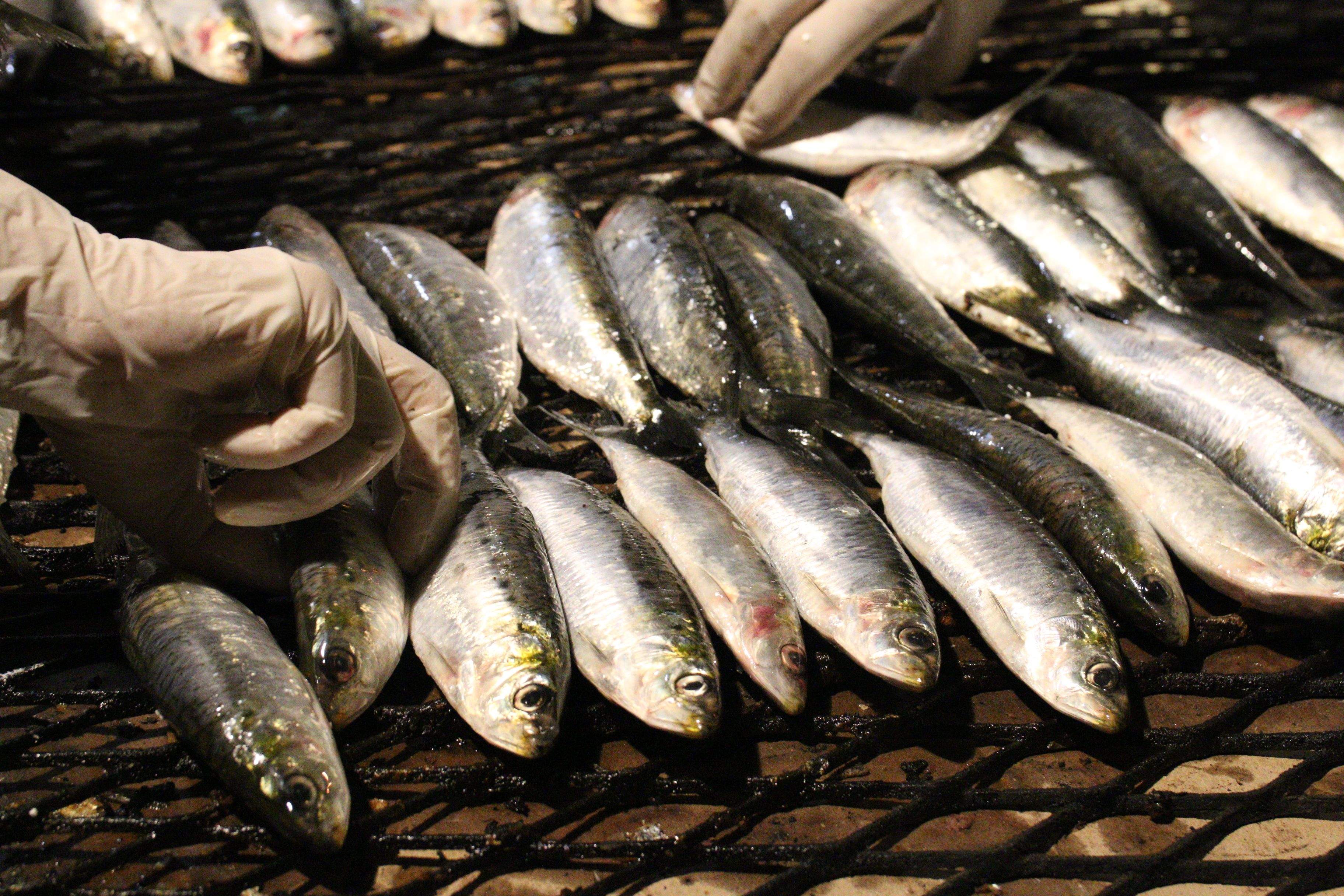 Sardinada ecològica. Foto: Lali Álvarez