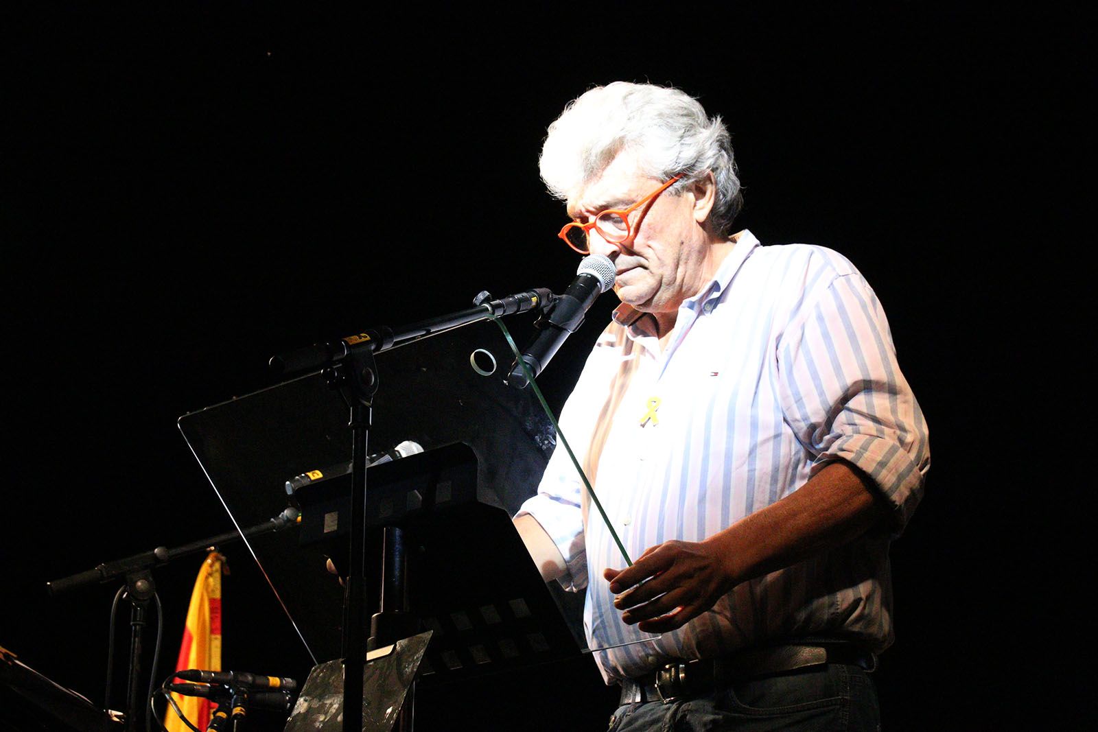 Marxa per a la República. Foto: Lali Álvarez