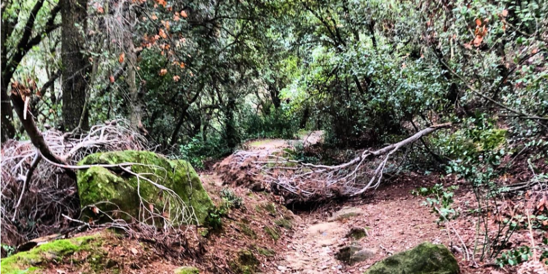 Aquesta és una de les trampes amb les que es topen els ciclistes. FOTO: Cedida