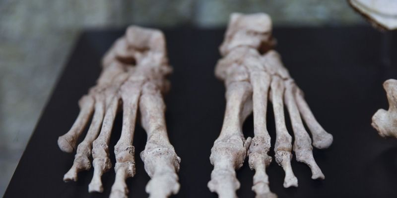 La mostra repassa l'Edat Mitjana. FOTO: Bernat Millet