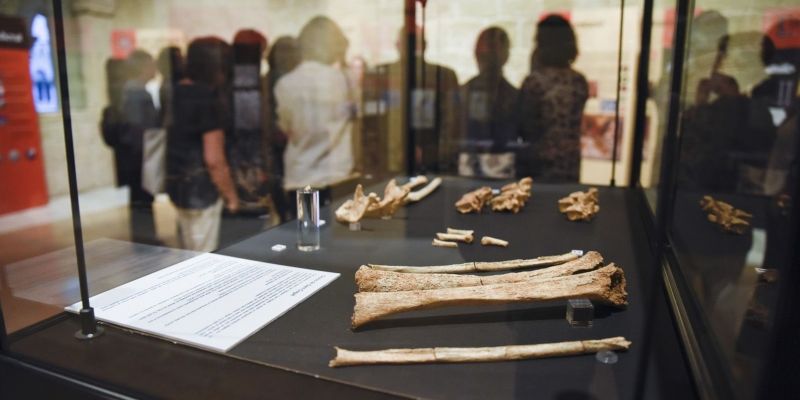 L'exposició es pot visitar fins al 10 de desembre. FOTO: Bernat Millet
