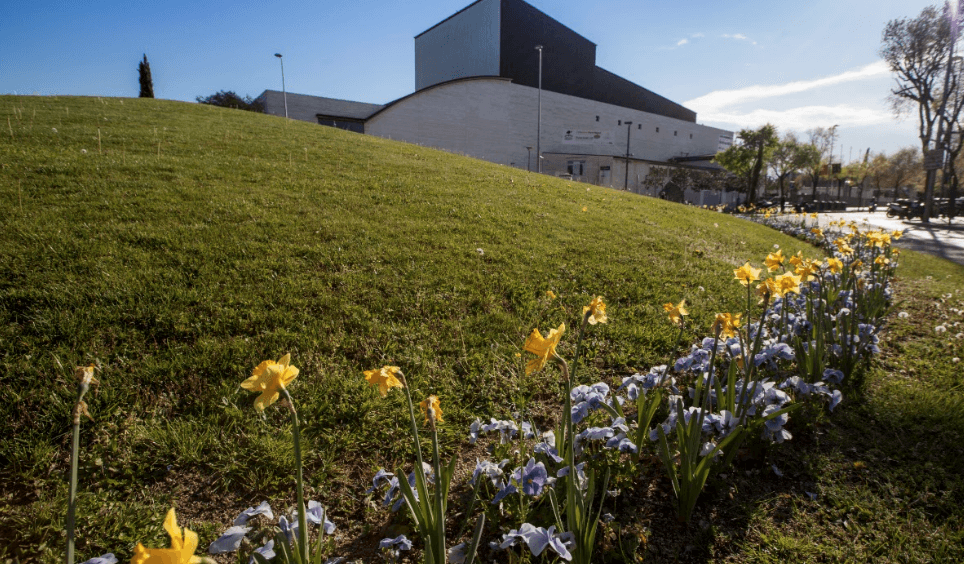 Viles Florides. FOTO: Cedida