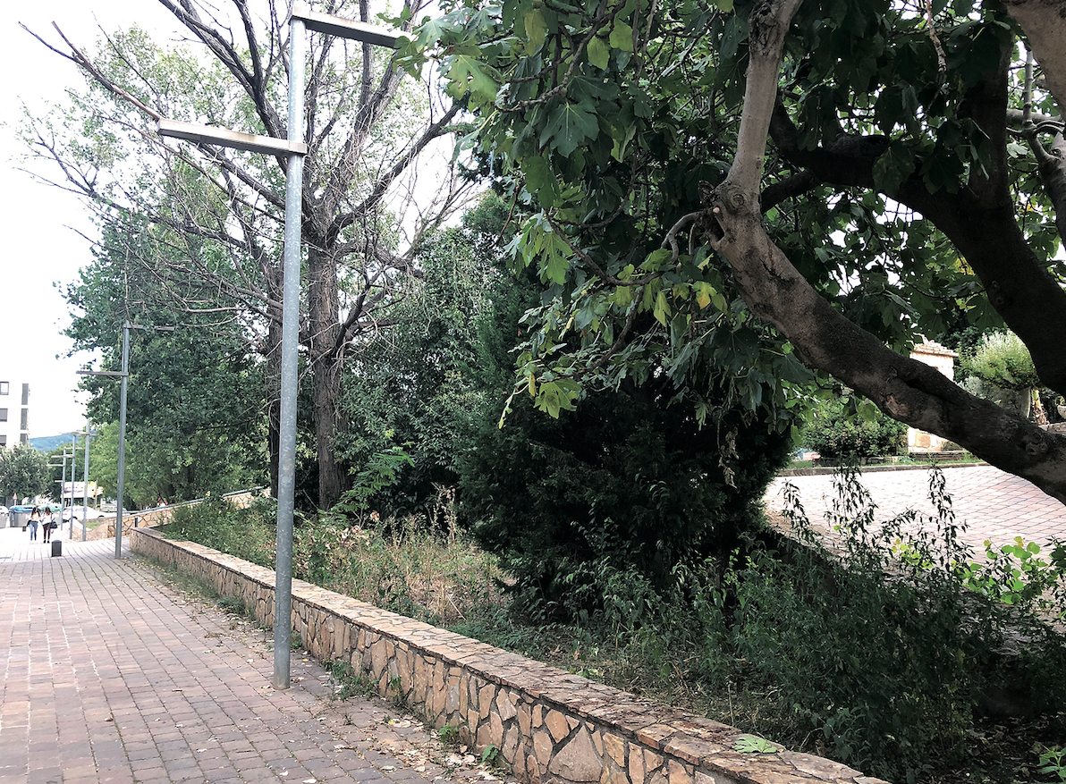 Arbre perillós a la via pública. FOTO: Montserrat Rigall