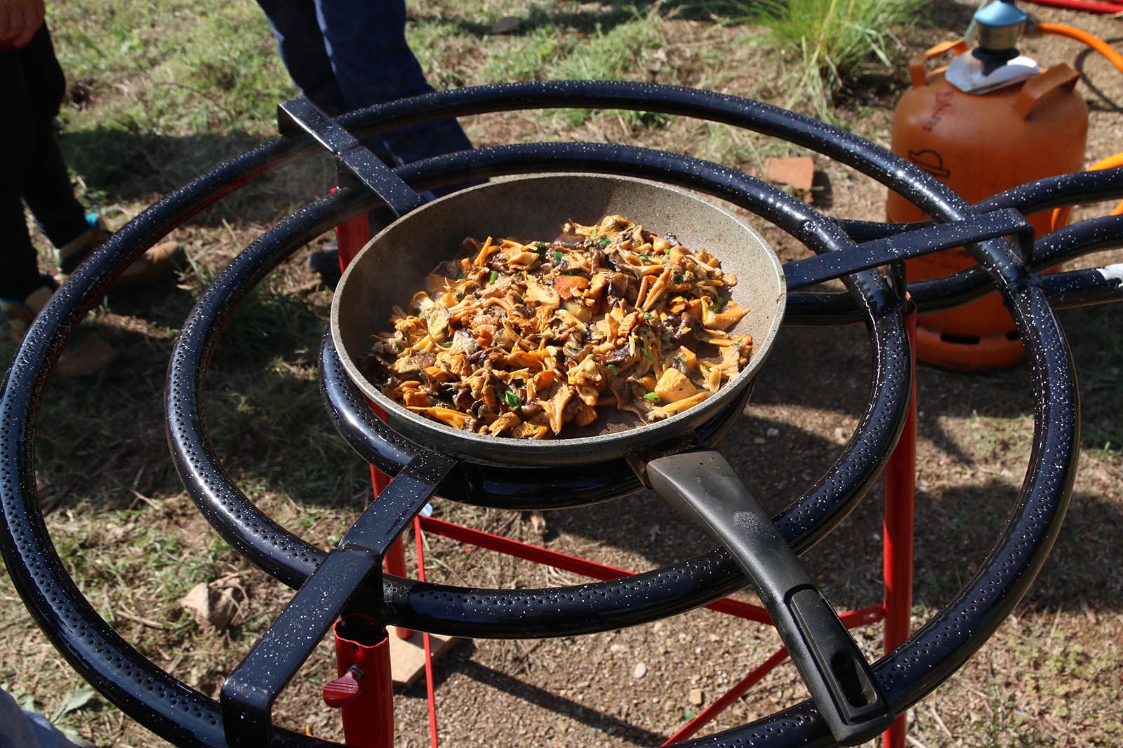 Aplec de la Salut a Valldoreix. Foto: Lali Álvarez