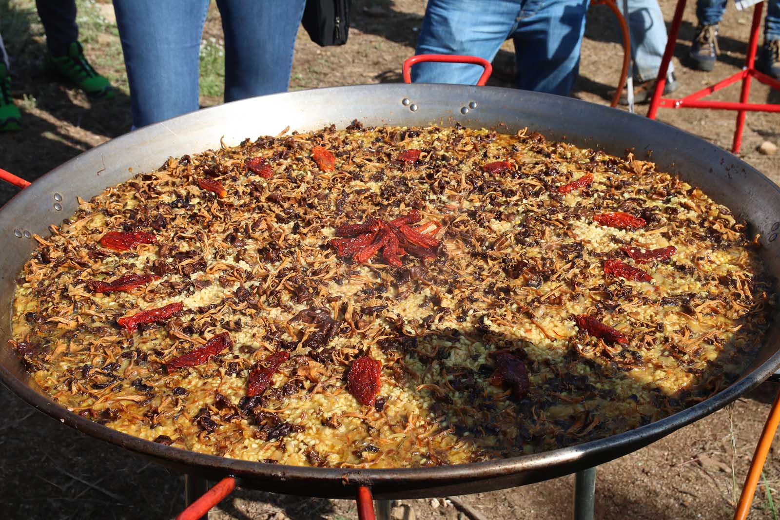 Aplec de la Salut a Valldoreix. Foto: Lali Álvarez
