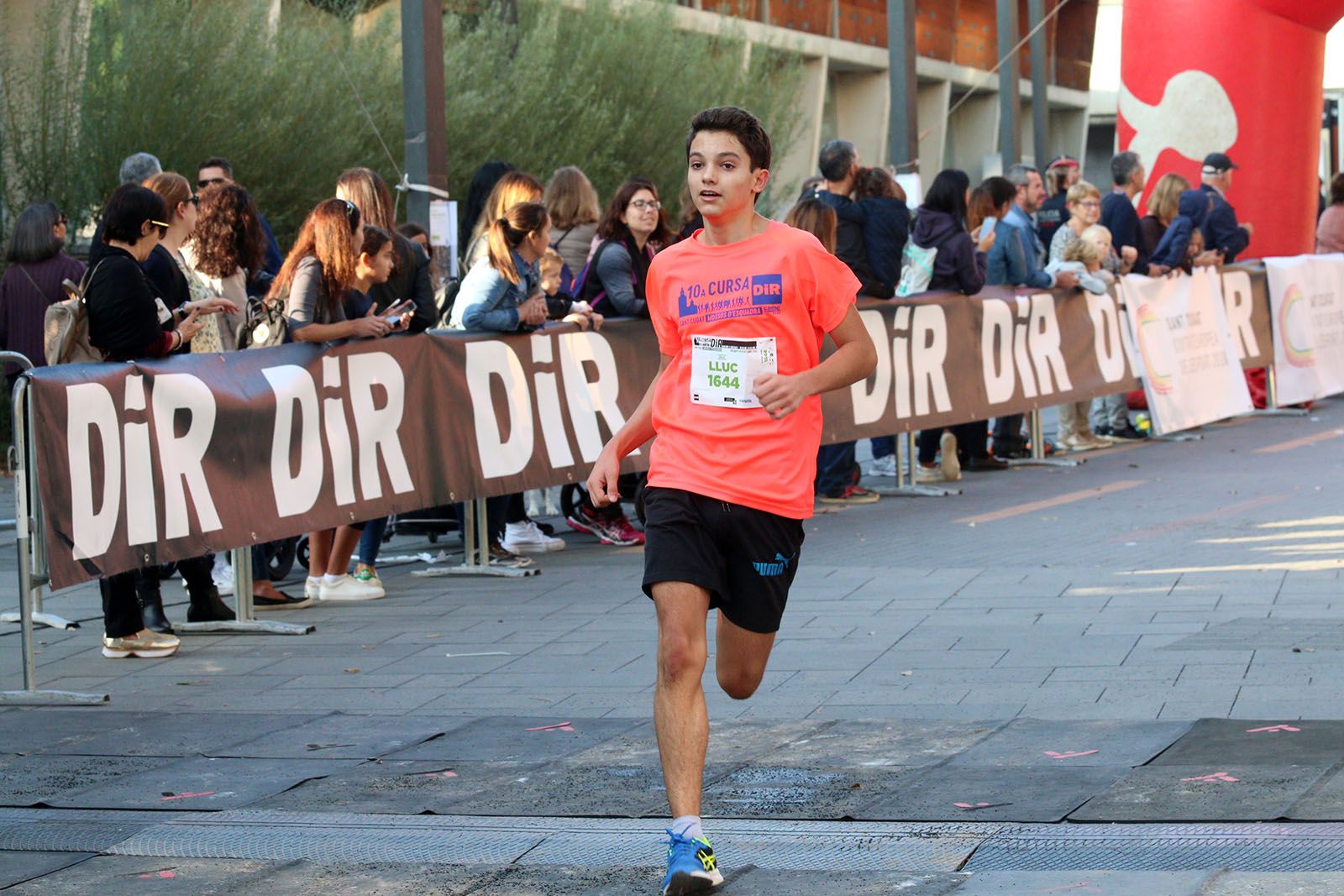 Cursa DIR Sant Cugat-Mossos d'Esquadra. Foto: Lali Álvarez