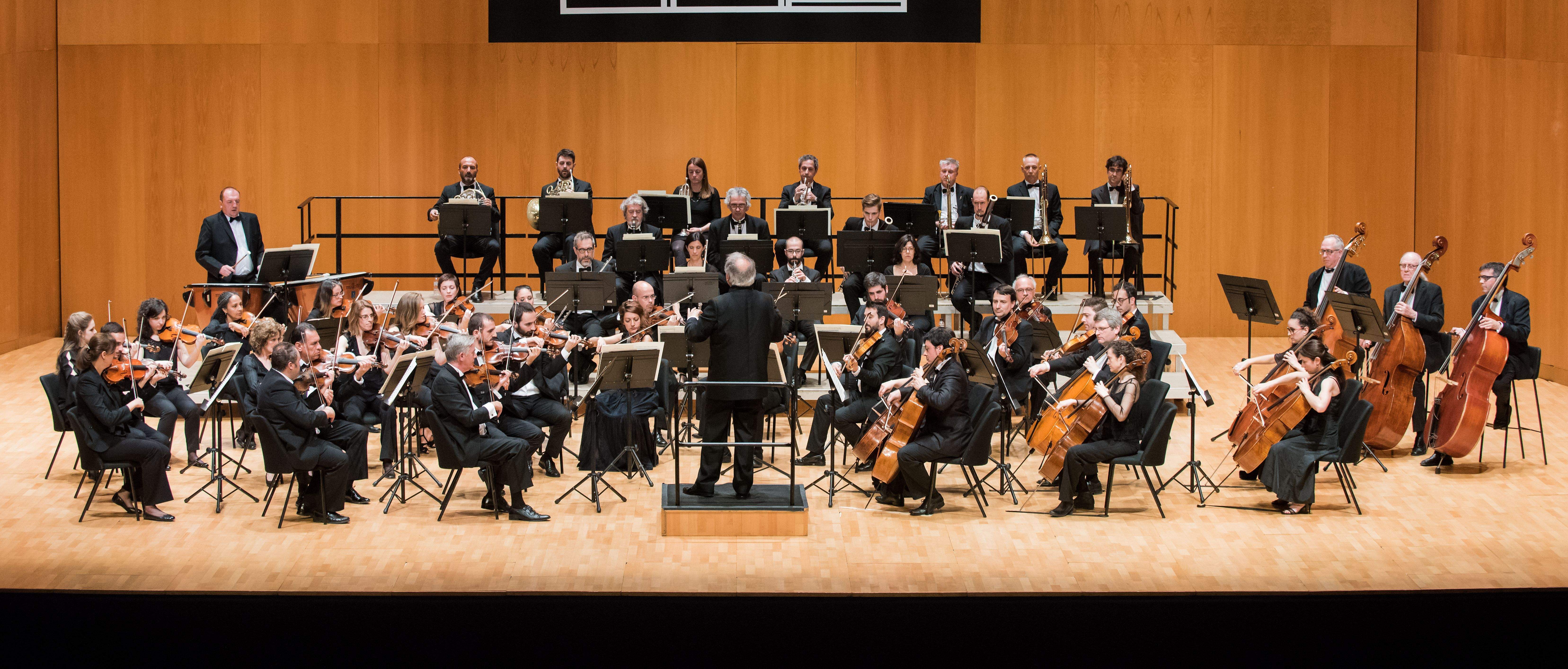 Serà interpretat per l'Orquestra Simfònica de Sant Cugat FOTO: Cedida