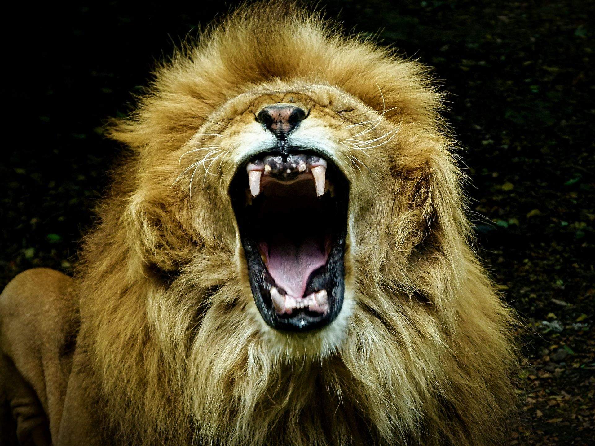 7è Premi categoria Instagram de @xavisixtynine