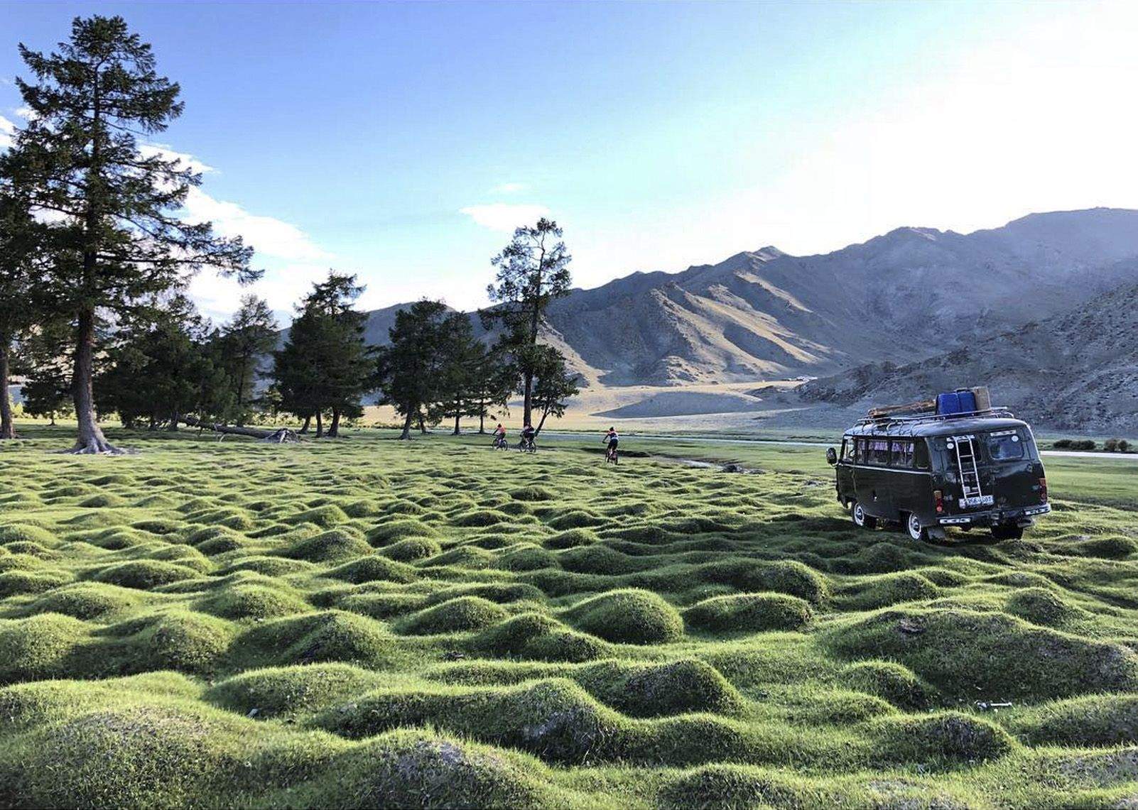 3r Premi categoria Instagram de @tony_gallardo_