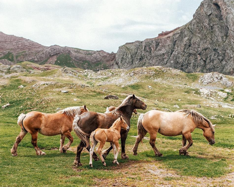 6è Premi categoria Instagram de @Aitorrodrigo