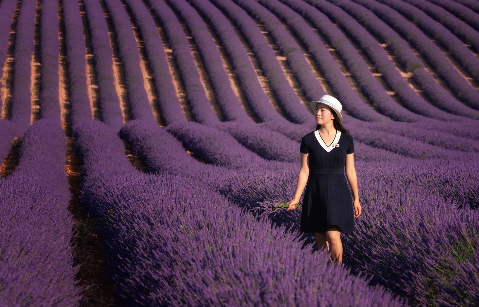 9è Premi categoria Viatges. "Lavender dreams" de Antoni Figueras.