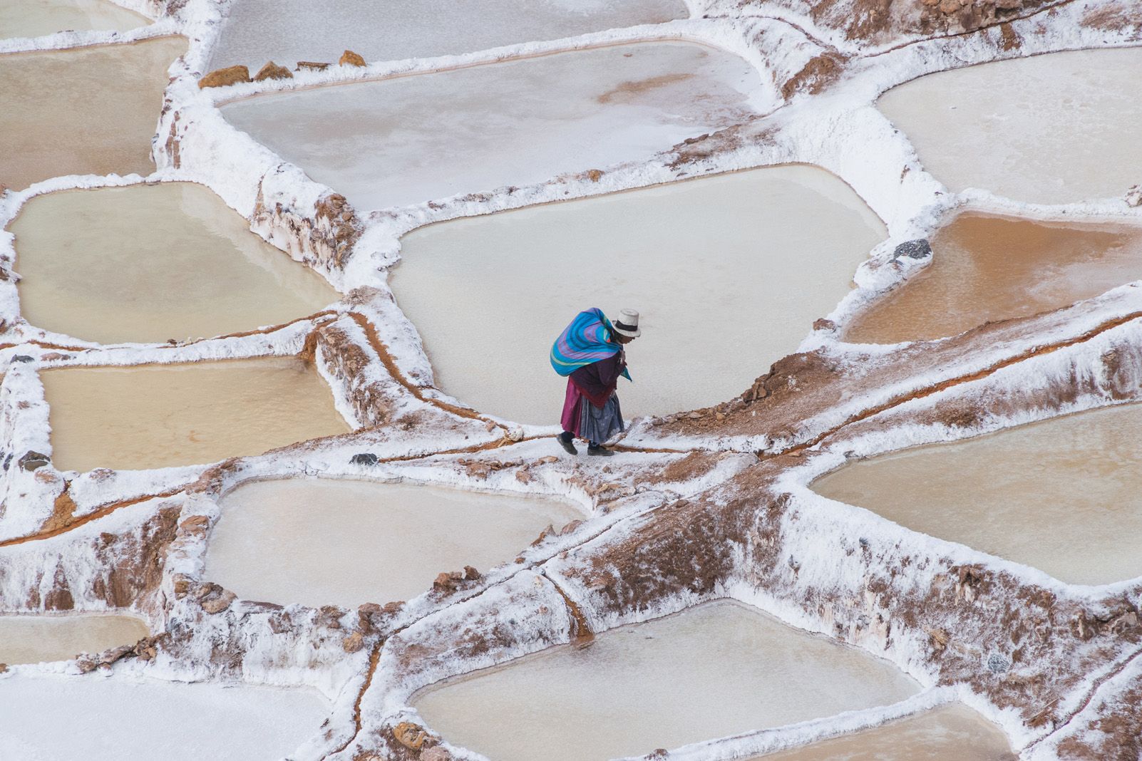 6è Premi categoria Viatges. "Una biblioteca pels somnis" de Carlos Mayora.