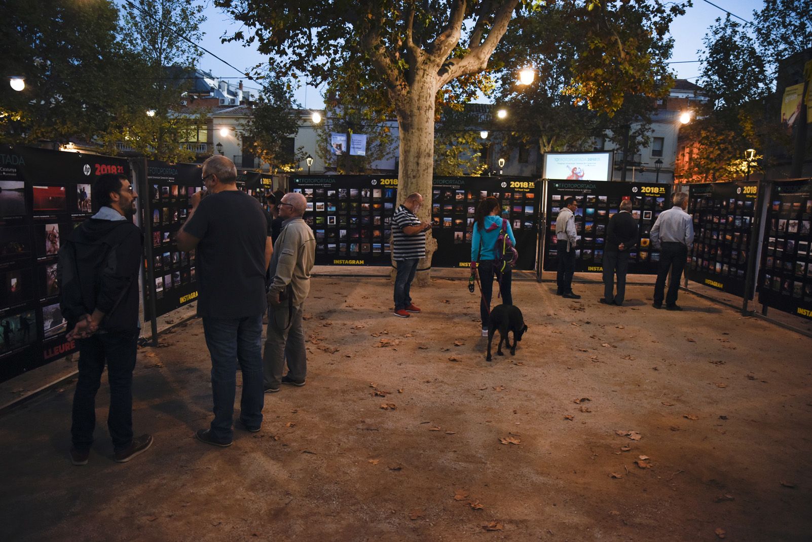 Lliurament de premis del concurs TOT Fotoportada 2018. Foto: Bernat Millet.