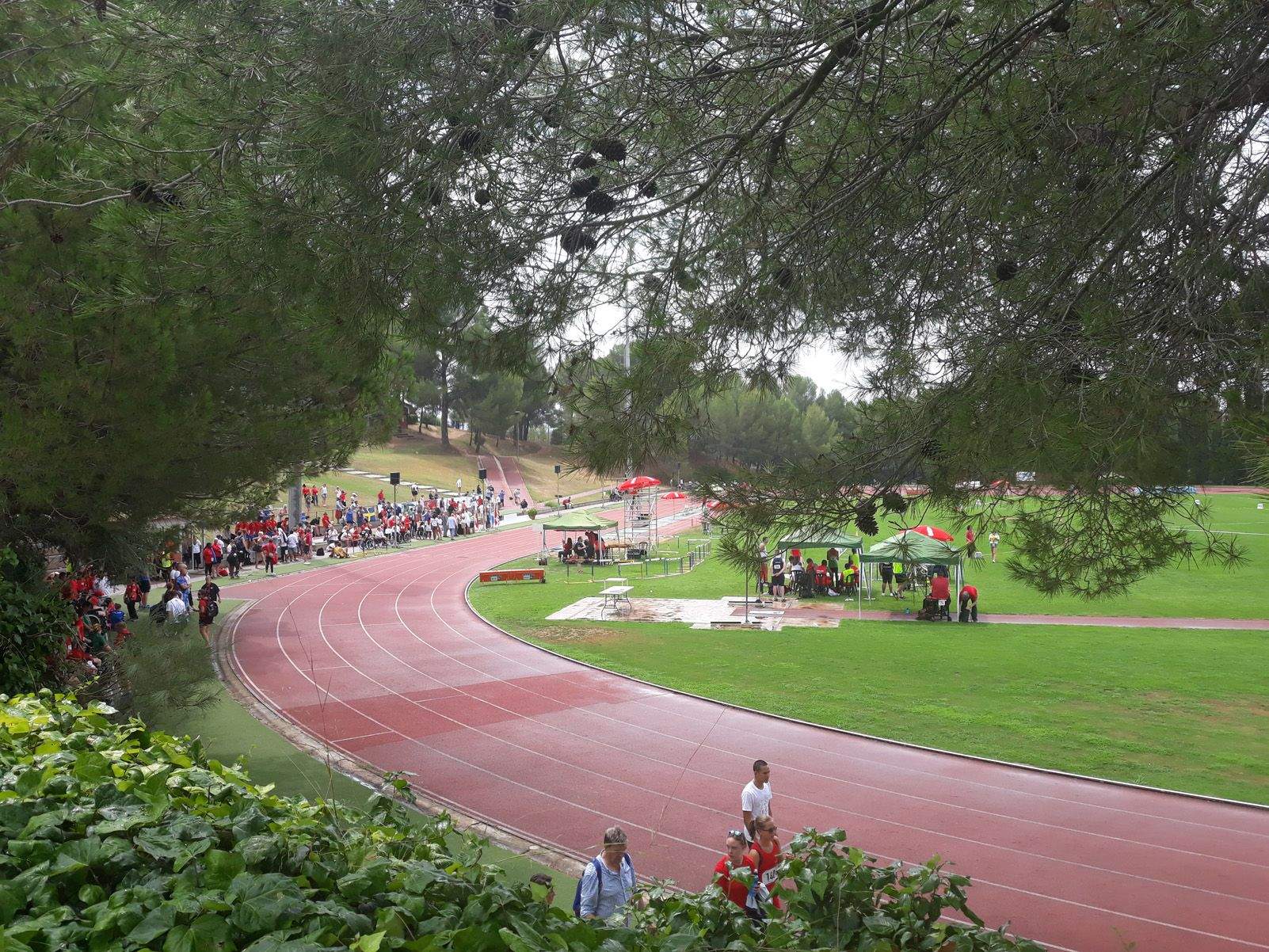 Cristina Alvarez "Para athletics"