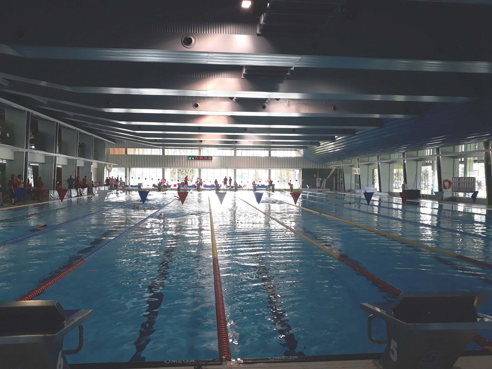 Cristina Alvarez "Para Swimming"