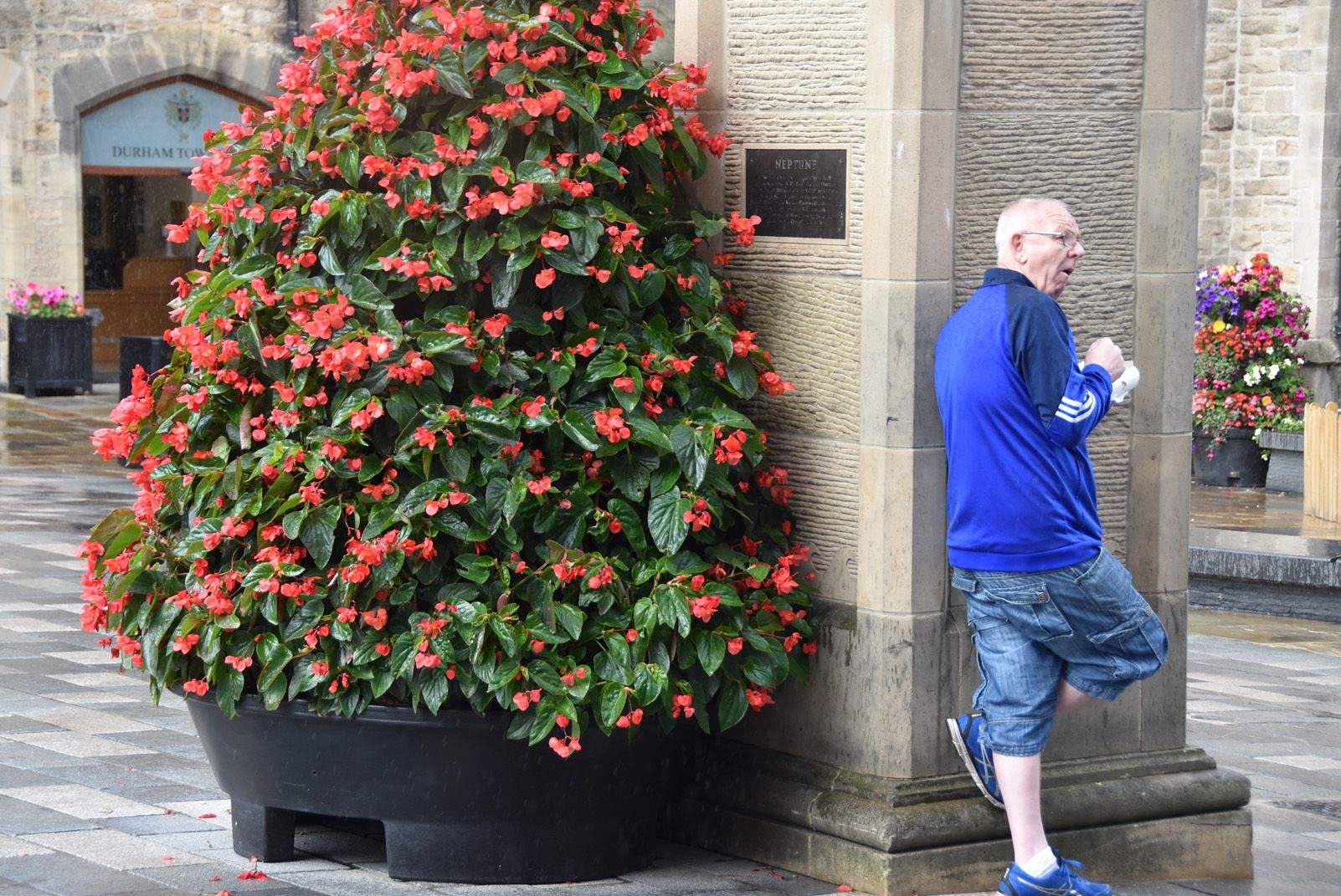 Francesc Mas Vidal "Menjant un yogurt"